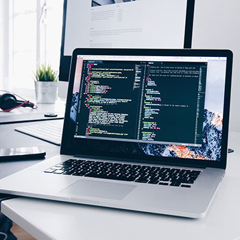 蝌蚪窝视频在线观看,跟随视频之旅，揭秘生命起源的奇妙旅程